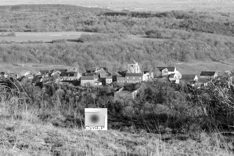 picsemita photo pic art